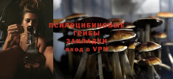 а пвп мука Краснослободск