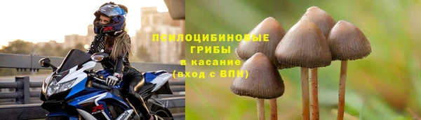 а пвп мука Краснослободск