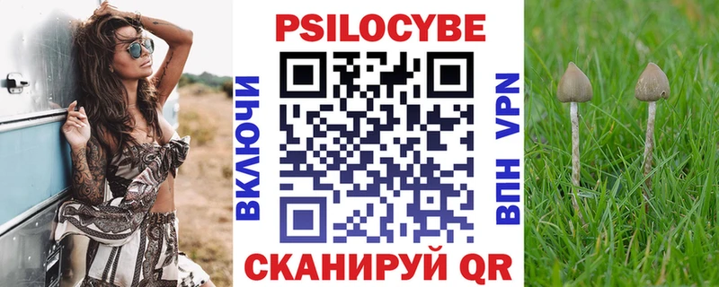 ссылка на мегу ссылка  Людиново  Псилоцибиновые грибы Psilocybe 